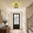 1-lamp green glass dimmable iron Flush Mount light