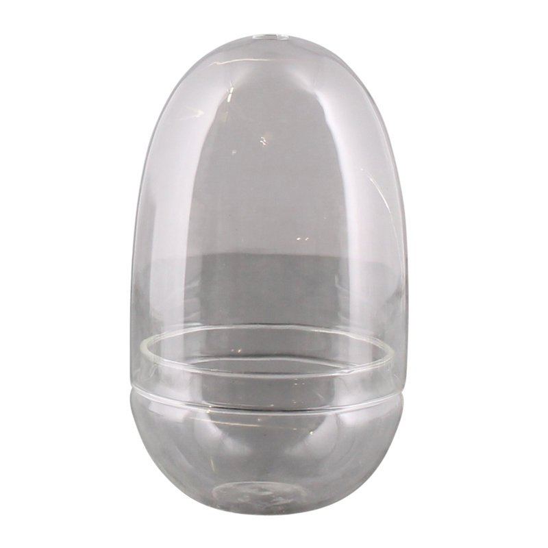Terrarium en verre, H 6,7 po x l 3,5 po x P 3,5 po