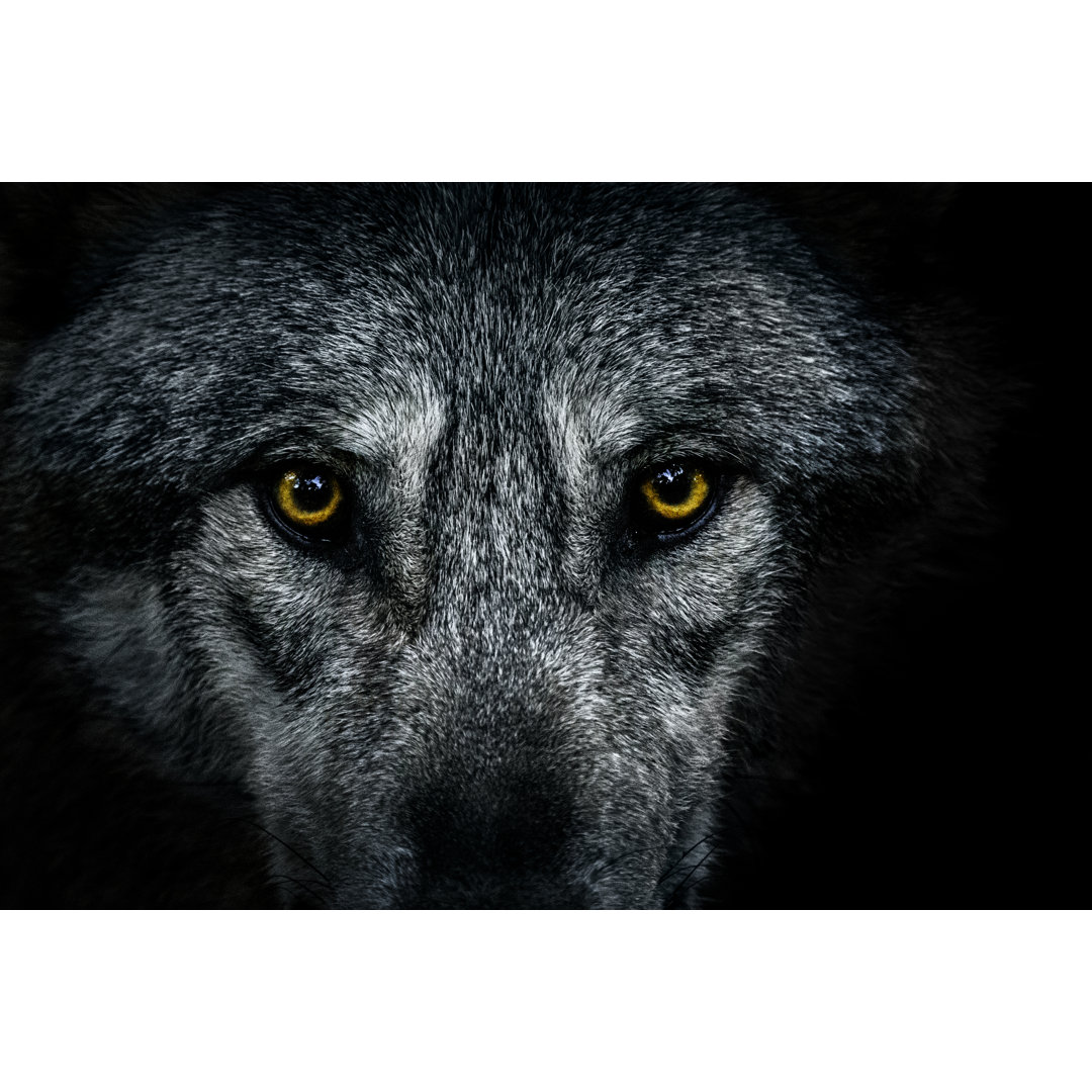 Wolf Eyes von Zocha_K - Drucken