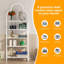 192.5cm H x 75cm W Steel Standard Bookcase-1148610817