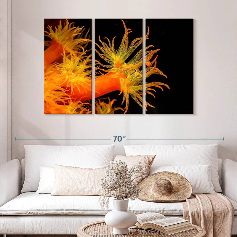 Brampt Sun Polyps, 32" H x 50" W