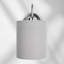 Alleshia Steel Armed Sconce