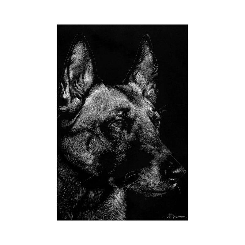 Canine Scratchboard V by Julie T. Chapman - Wrapped Canvas Print, 101.6 cm H x 66.04 cm W x 1.91 cm D
