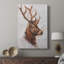 Étude de cerf II - galerie Cavas sur mesure-117756275
