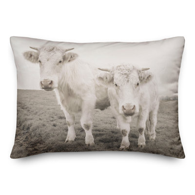 Coussin intérieur / extérieur