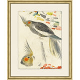 Lewin's Parrots 2 Painting