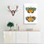 Hypermnestra Moth by George Shaw - Wrapped Canvas-55360471