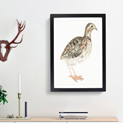 A Quail by Johan Teyler - Framed Print