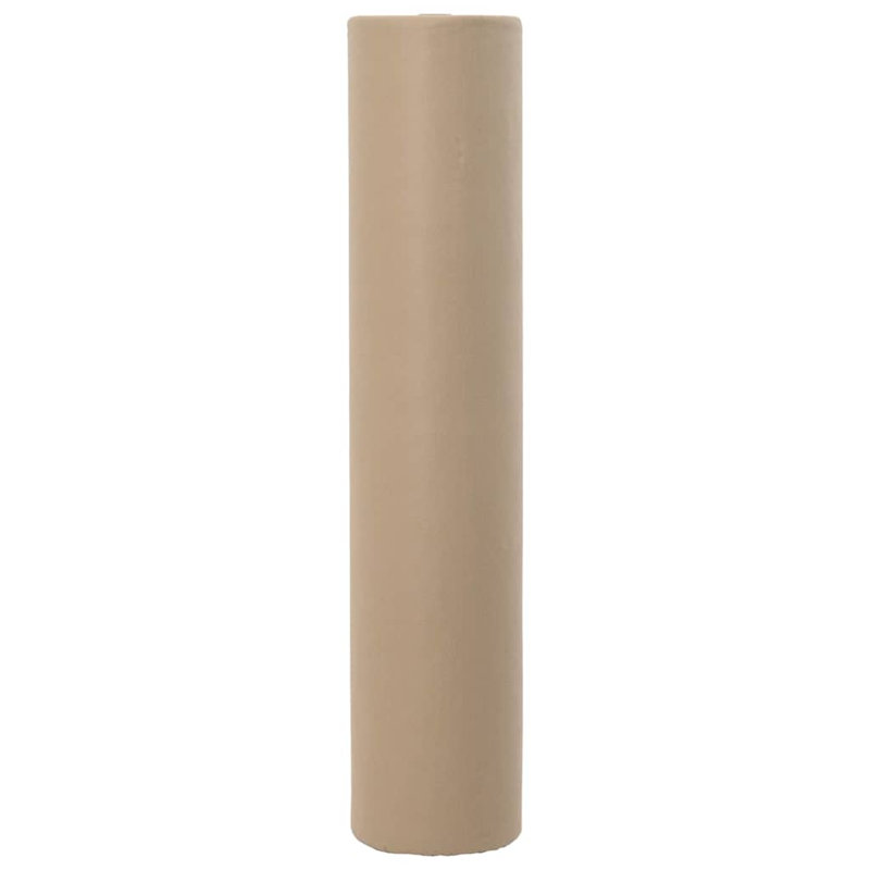 Vidaxl Plant Fleece Frost Protection Outdoor Plant Cover Garden Fleece 70 G/M², Beige