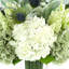 Assorted Hydrangeas, Lamb's Ear and Protea Arranged in Glass Vase