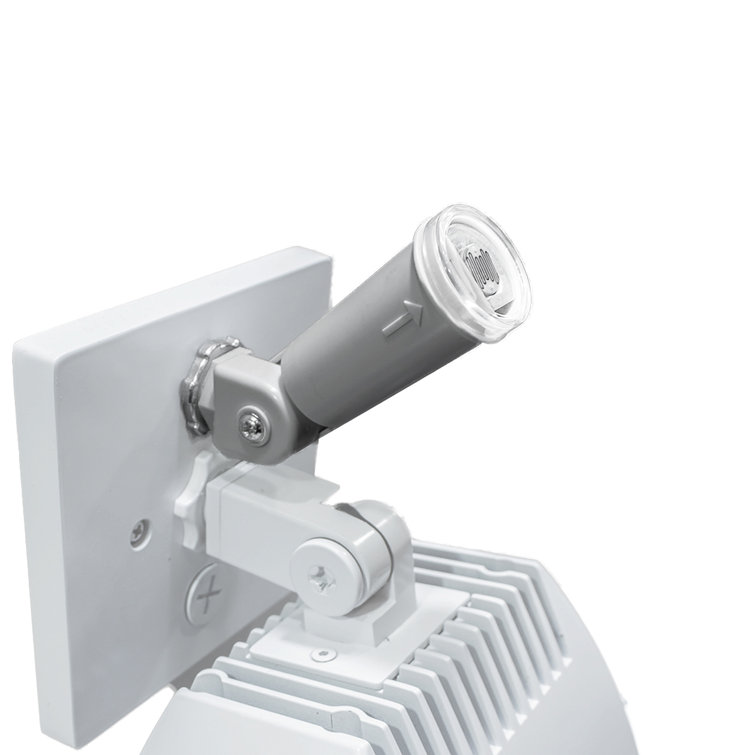 Endurance Socket Plate