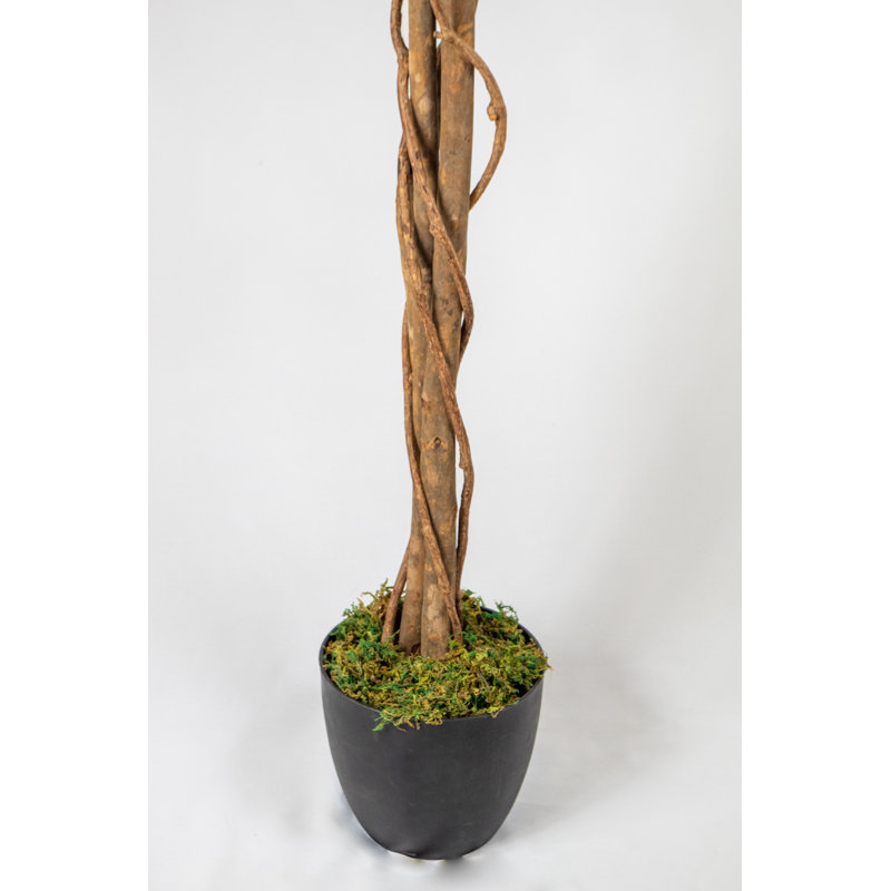 183cm Faux Ficus Tree Tree in Pot