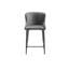 Mireille Upholstered Adjustable Height Counter Stool with Metal Frame-85067989-85067988