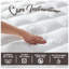 Fitted Mattress Protector Case Pack-897527016