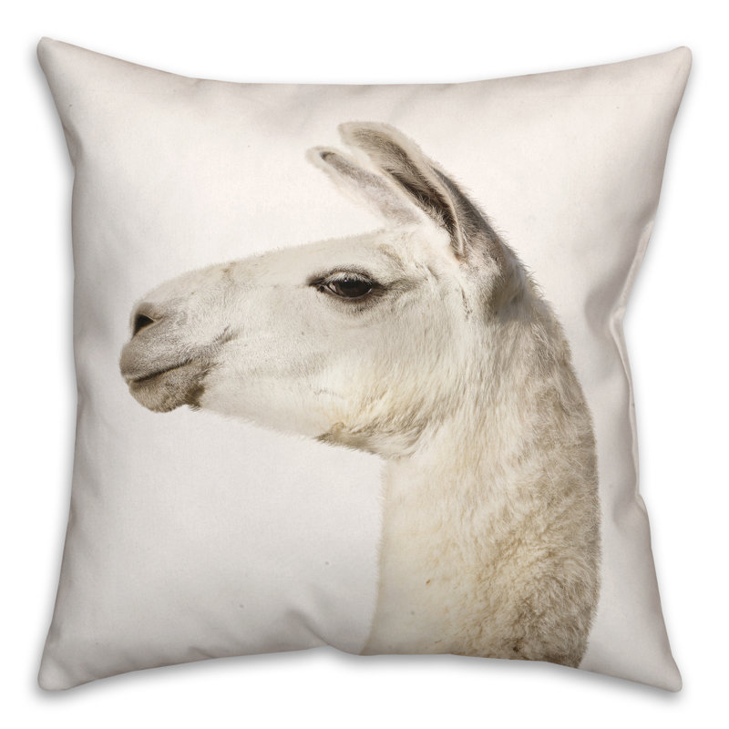 Housse de coussin Fluffy