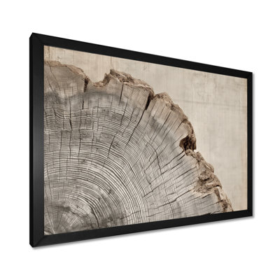 Gris gris brun rétro spirale grise sur glissade sur bois - impressions sur toile d'arbre, art mural gris nature