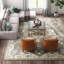 Tapis oriental gris anthracite / taupe en laine touffeté à la main Burkouer-1811817560