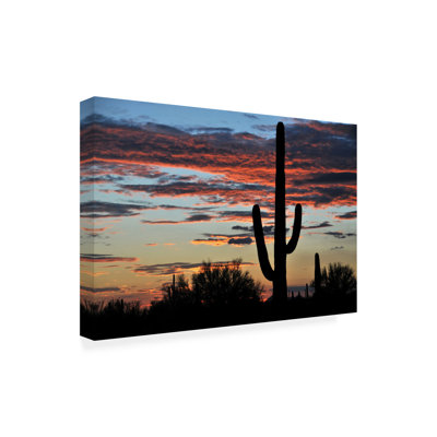 Beilul All-Weather Canvas Landscape & Nature Wall Decor