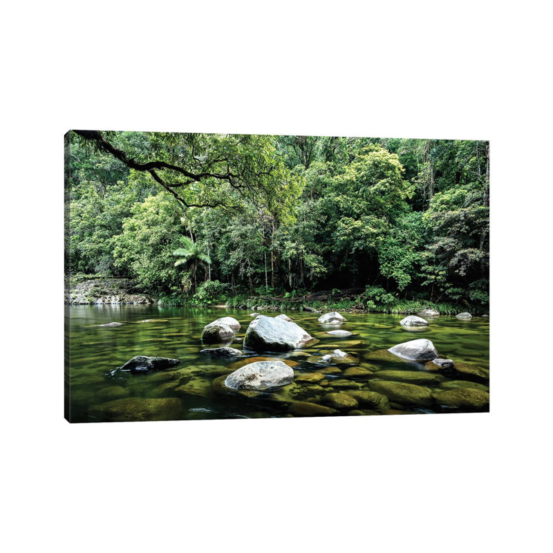 Daintree Rainforest Calm River Landscape by James Vodicka - Wrapped Canvas Gallery-Wrapped Canvas Giclée