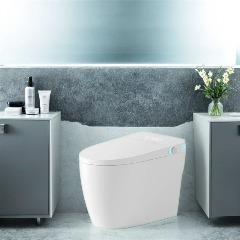 [tankless Smart Toilet With Built-in Bidet]one-piece Seat | Auto Flush/open | Heated Seat + Warm Water Dry | Adjustable Temp & Remote Control​
