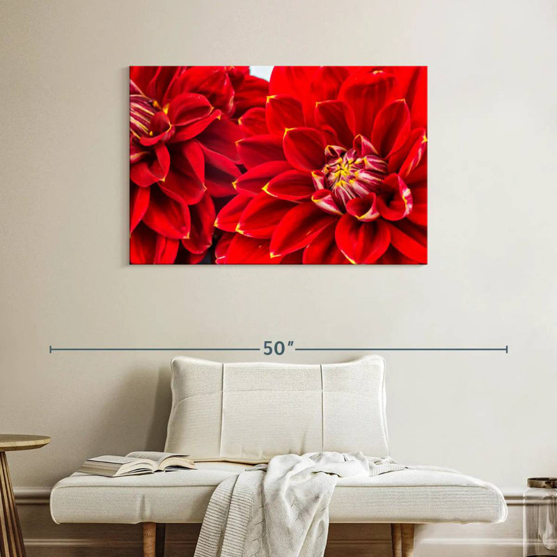 Dahlia Bloom, 26" H x 39" W