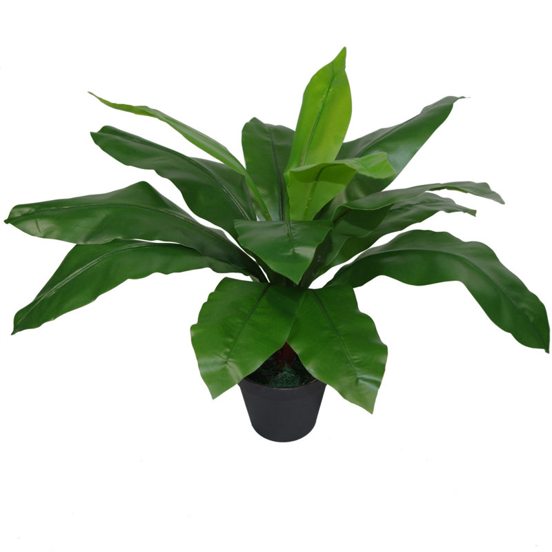 60cm Faux Fern Plant in Pot Liner, 50 cm x 50 cm