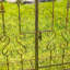 96 "TALL GARDEN GATEEN GARDEN-100651589