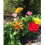 Piquet de jardin Huntur Sun Spin