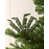 sage green is out of stock