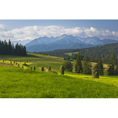 Summer Mountains by Ewg3D
