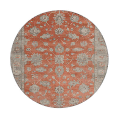 Overdyed Gray Indoor and Outdoor Area Rug