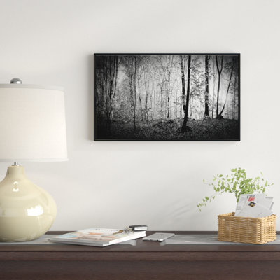 " Beautiful Forest Morning Panorama "
