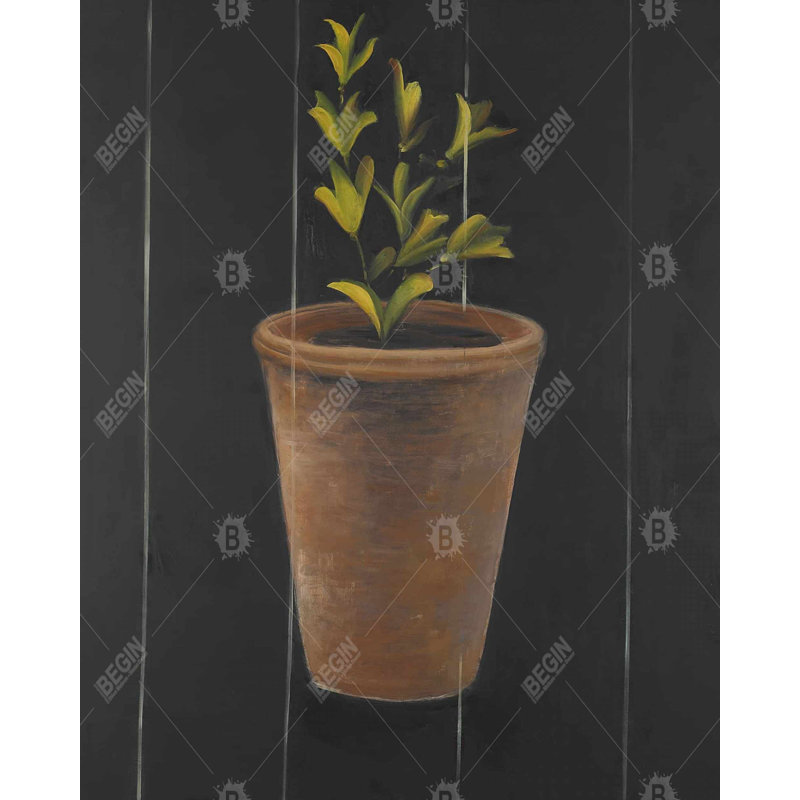 Plant Of Marjolaine Print On Canvas