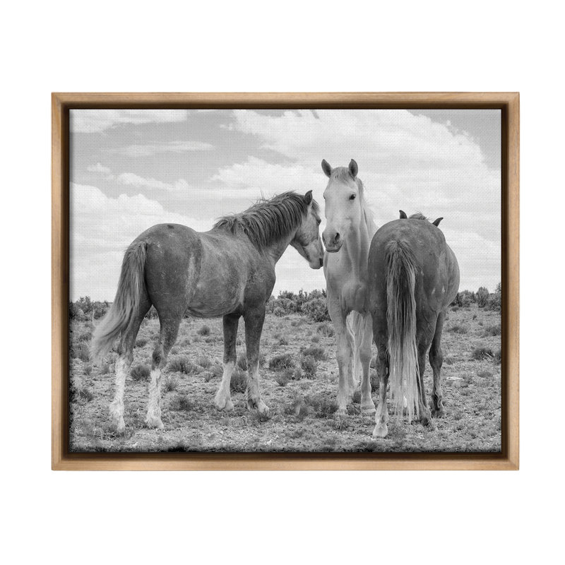 «Horse Trio In Desert Floater Frame» par JG Studios sur toile, H 17 po x l 21 po, Cadre flottant orme Montalcino