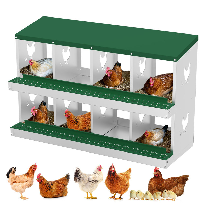 Egg Laying Box