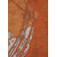 Rapture Area Rug-959516380