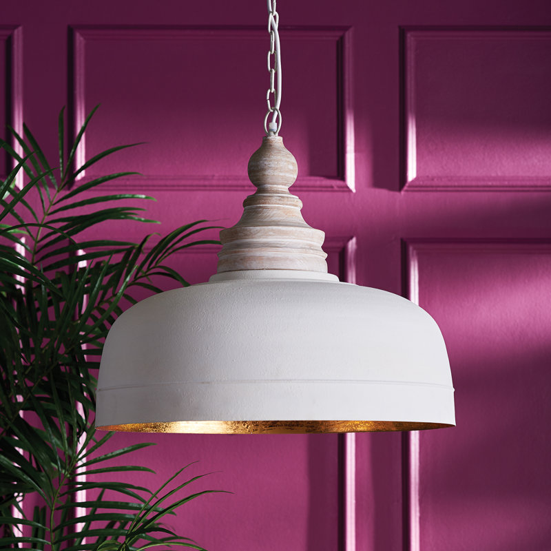 Luminaire suspendu en forme de dôme à 1 lumière Eldora Jasper