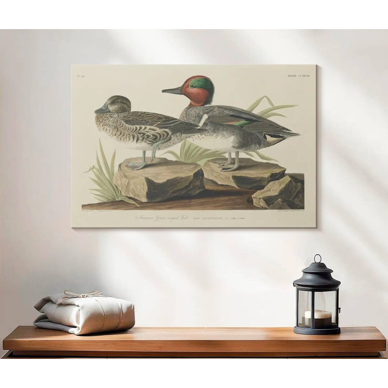 Winged Teal, 16" H x 24" W