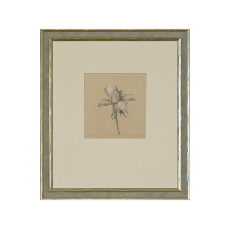 Rose IV Print by Daughdrill