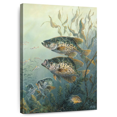 Brampt Black Crappies