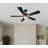 Briyan Ceiling Fan with LED Lights-1619148399