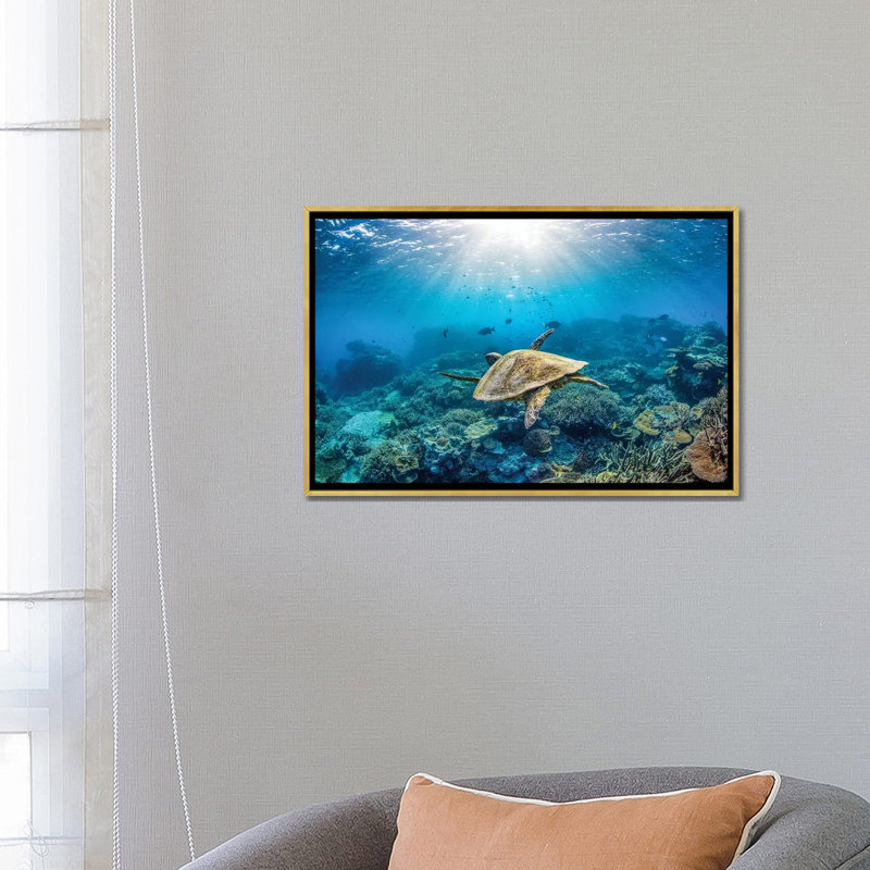 Reef Glider par Jordan Robins - reproduction d'art, Pas de tapis, Toile encadrée dorée, H 24 po x l 40 po x P 1,5 po