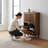 Mid-century Modern Shoe Cabinet With Double Flip Drawers, Freestanding Storage Unit For Entryway Or Corridor-1945356530
