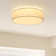 Deontee 14.96'' Linen Dimmable Flush Mount Lighting with Remote and APP