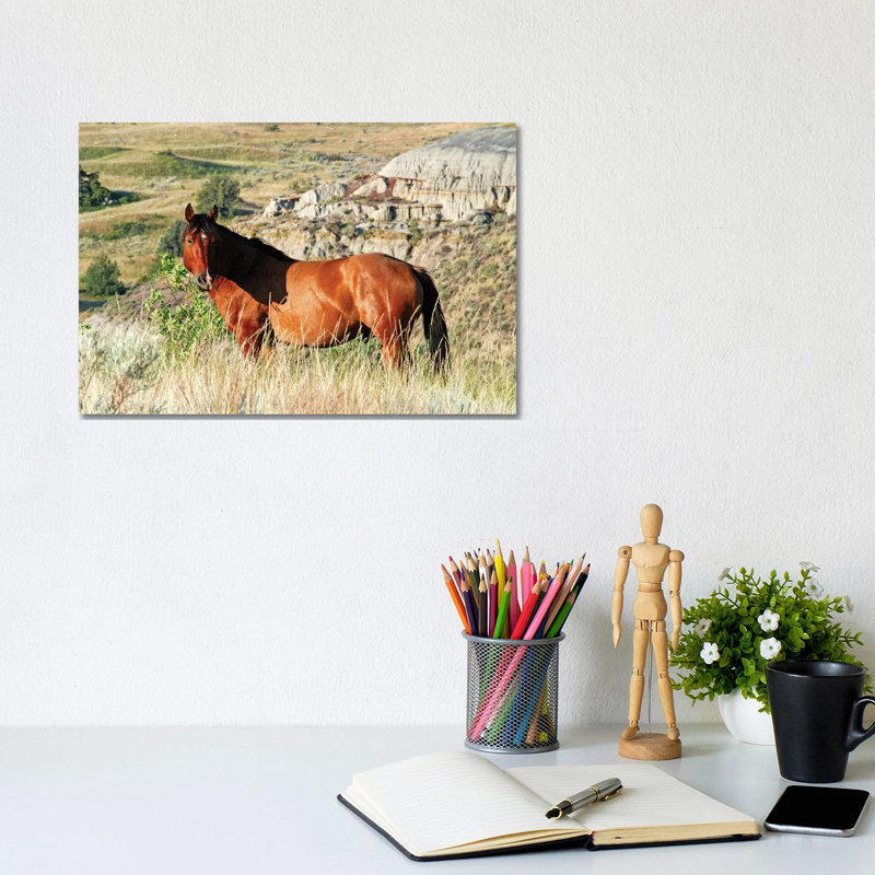 Wild Stallion by Brian Wolf - Wrapped Canvas Print, 20.32cm H x 30.48cm W x 1.91cm D