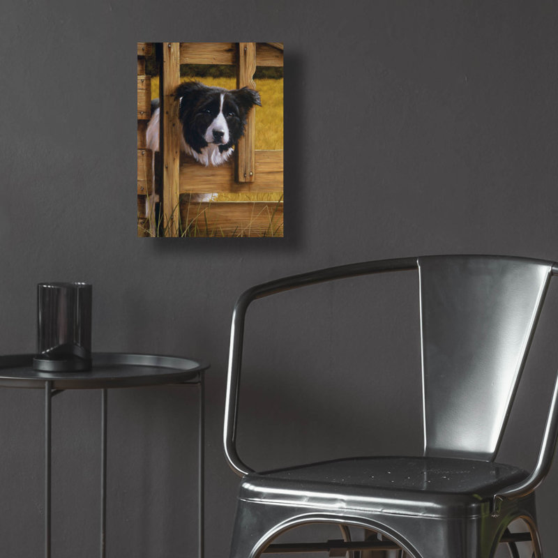 " Border Collie Exploring " by John Silver, 16" H x 12" W