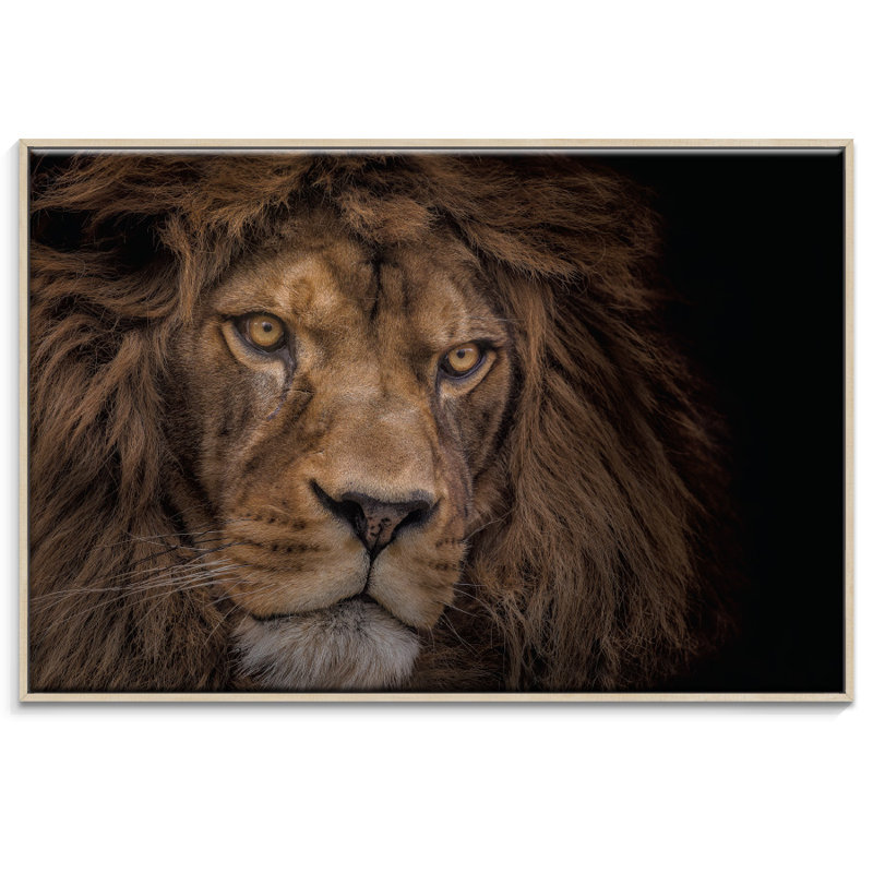 Floater Frame Print on Canvas, 103.5cm H x 153.5cm W