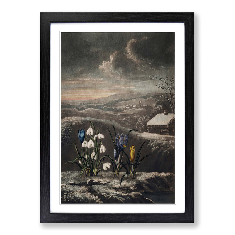 The Snowdrop Flowers by R.J. Thornton - Picture Frame Painting Print on MDF, 36cm H x 27cm W x 2cm D, Black Framed
