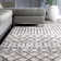 Rudden Moroccan Shag Cream/Blue Gray Rug