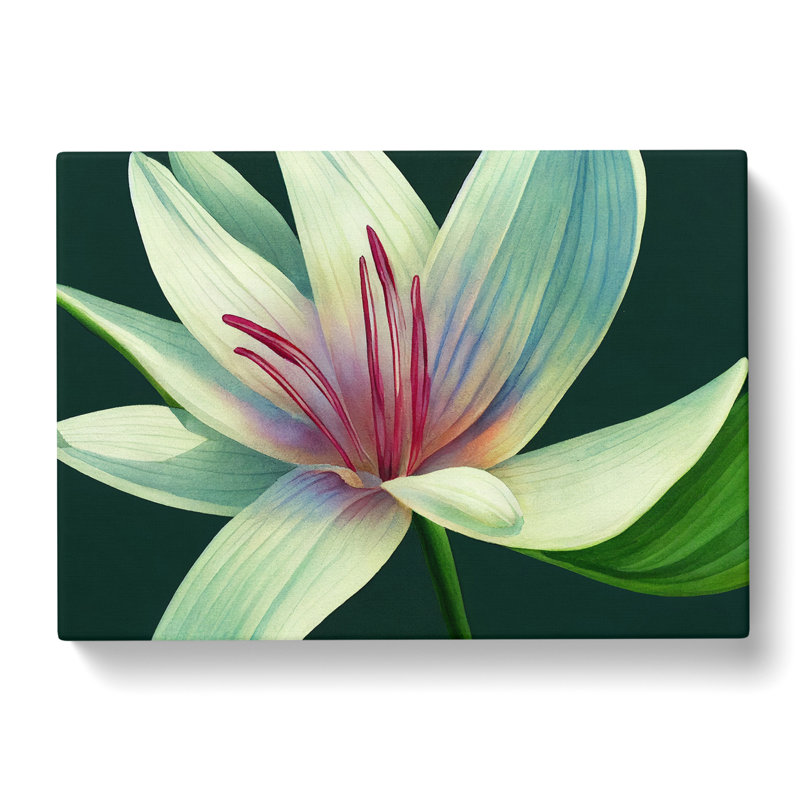 Dashing Lily Flower - Wrapped Canvas, 40cm H x 60cm W x 3cm D